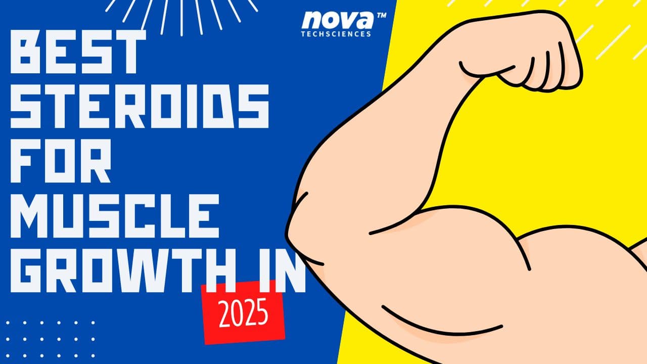 Best Steroids for Muscle Growth in 2025